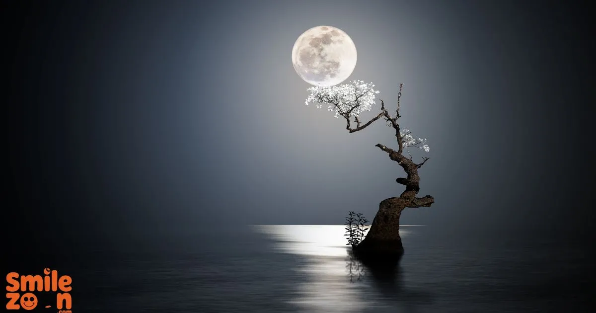 The Moon Is Beautiful" Isn't It?